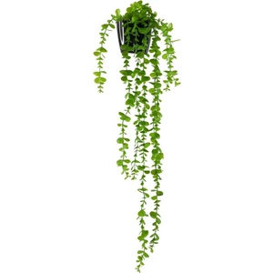 Yapay Çiçek Saksıda Sarkan Okaliptus 80CM