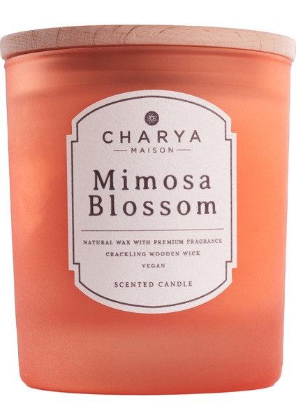 Charya Maison Mimosa Blossom 230 G Doğal ve Vegan Mum