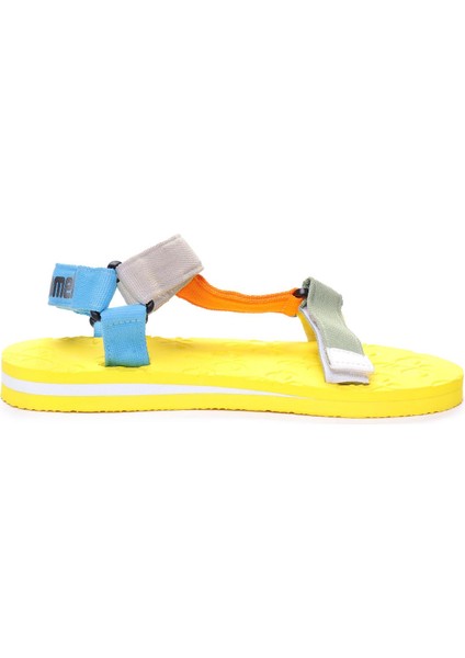 Ege Kadın Sandalet fiyatları