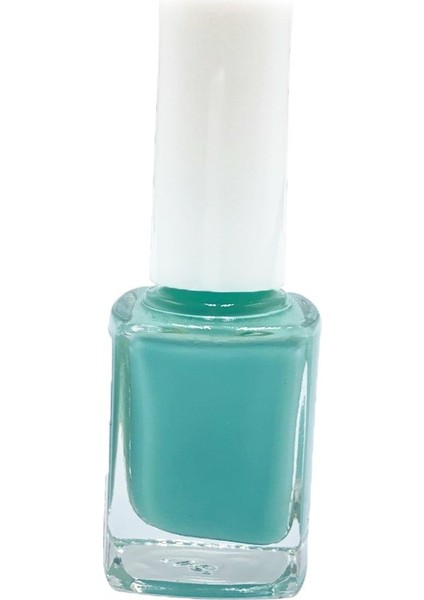 Kozmetik Seti / Oje No: 313 + 288 & Oje Nail Art Fırça Seti 15 Parça