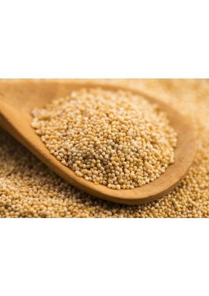Beyaz Haşhaş 250 gr- Beyaz Haşhaş Tohumu 250 gr modelleri