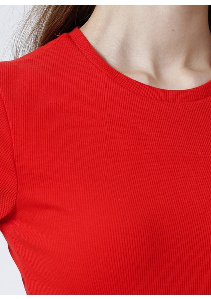 Bisiklet Yaka Fitilli Kırmızı Kadın T-Shirt TEO fiyatları