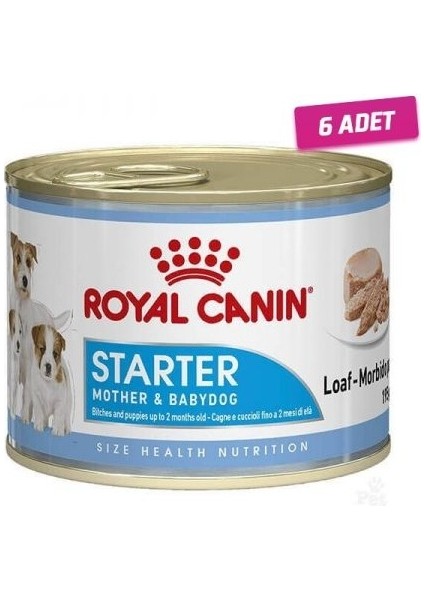 6 Adet - Royal Canin Starter Mousse Konserve Yavru Köpek Maması 195 gr