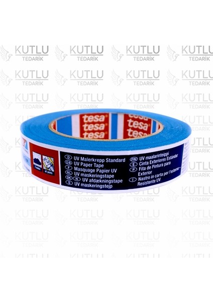 4435 Mavi Dış Mekan Maskeleme Bandı 50M x 25MM