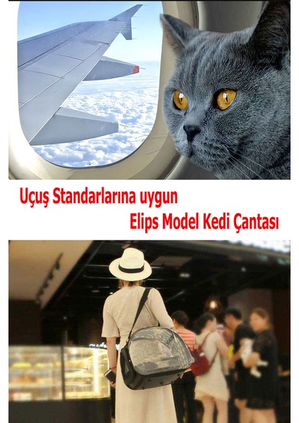 Elips Kedi Taşıma Çantası El ve Sırt Çantası 6 Hava Kanalı 2 Fileli Cep Kedi Taşıma Çantası