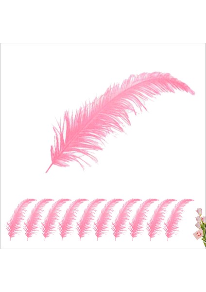 Şeffaf Balon İçi Kuş Tüyü, 100 Adet - Pembe