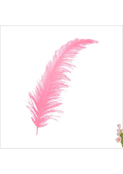 Şeffaf Balon İçi Kuş Tüyü, 100 Adet - Pembe modelleri