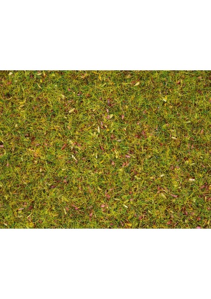 8155 Serpme Çim, Çiçekli Çayır, 2.5 Mm, 120 Gram Diorama Malzemesi