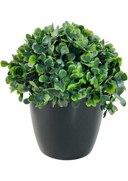 Yapay Çiçek Şimşir Bonus 1919 x 17 x 17 cm Yapay Bitki Siyah Plastik Saksılı Dekoratif Süs Çiçeği fiyatları