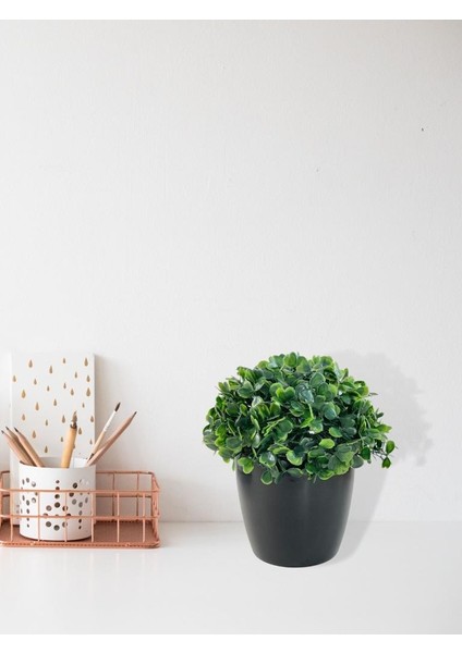 Yapay Çiçek Şimşir Bonus 1919 x 17 x 17 cm Yapay Bitki Siyah Plastik Saksılı Dekoratif Süs Çiçeği modelleri