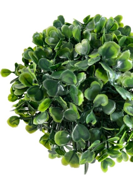 Yapay Çiçek Şimşir Bonus 1919 x 17 x 17 cm Yapay Bitki Siyah Plastik Saksılı Dekoratif Süs Çiçeği fırsatları