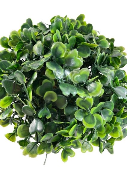 Yapay Çiçek Şimşir Bonus 1919 x 17 x 17 cm Yapay Bitki Siyah Plastik Saksılı Dekoratif Süs Çiçeği indirimleri