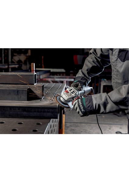 Avuç Taşlama 1100w 125mm 11000 D/D W 11-125 Quick fiyatları