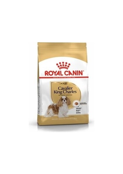 Cavalier King Charles Köpek Maması 3 kg