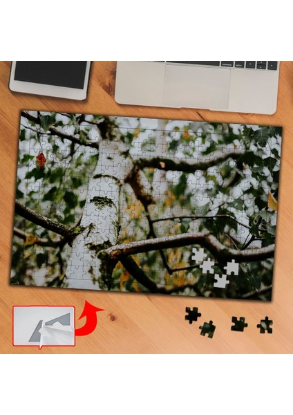Yakın Çekim Ağaç Gövdesi 240 Parça Puzzle Yapboz TABLO-435766