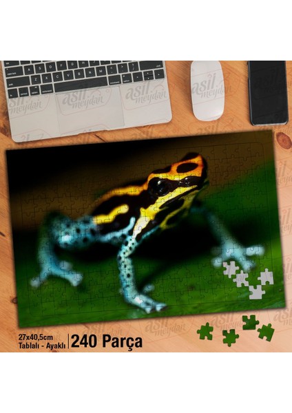 Asil Hobi Renkli Desenli Kurbağa-Hayvan - Doğa Yapboz-Ayak Destekli Çerçeveli 240 Parça Puzzle
