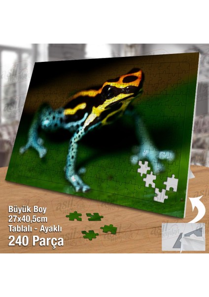 Asil Hobi Renkli Desenli Kurbağa-Hayvan - Doğa Yapboz-Ayak Destekli Çerçeveli 240 Parça Puzzle fiyatları