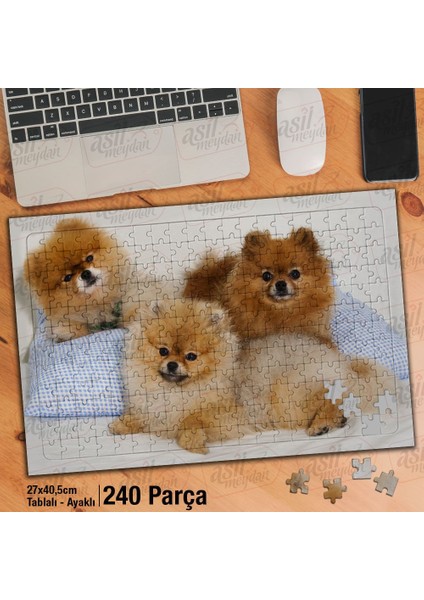Asil Hobi Üç Sevimli Köpekler - Hayvan Yapboz-Ayak Destekli Çerçeveli 240 Parça Puzzle