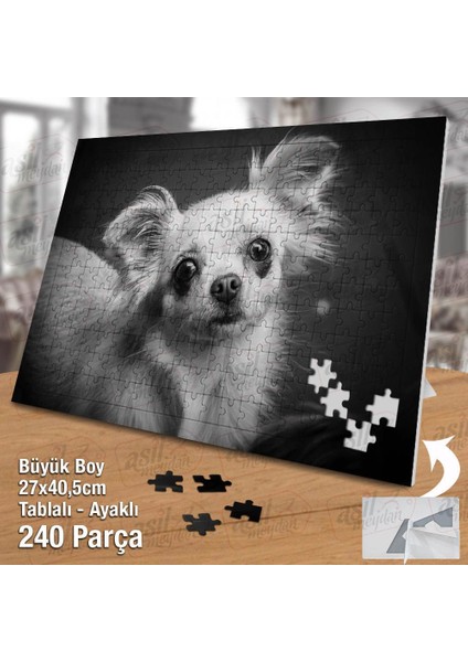 Asil Hobi Chihuahua - Siyah Beyaz Resim -Köpek Yapboz -Ayak Destekli Çerçeveli 240 Parça Puzzle fiyatları