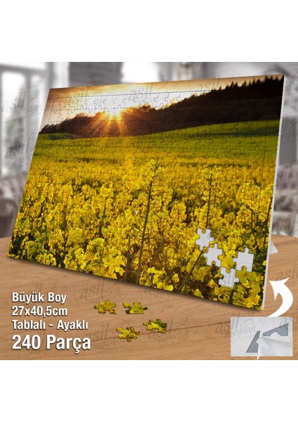 Asil Hobi Sarı Kır Çiçekleri - Gün Batımı - Doğa Yapboz - Ayak Destekli Çerçeveli 240 Parça Puzzle