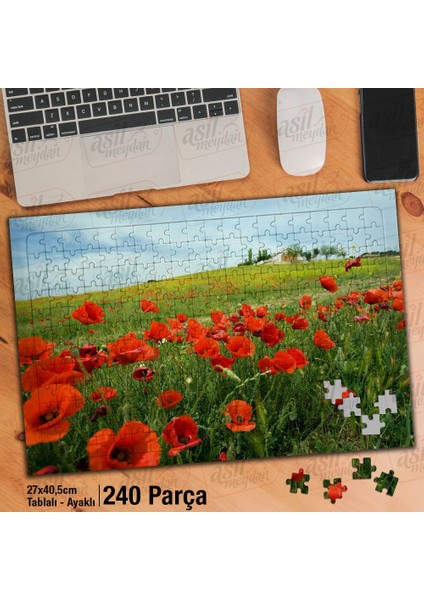 Asil Hobi Gelincik Çiçekleri-Turuncu -Doğa -Manzara Yapboz -Ayak Destekli Çerçeveli 240 Parça Puzzle