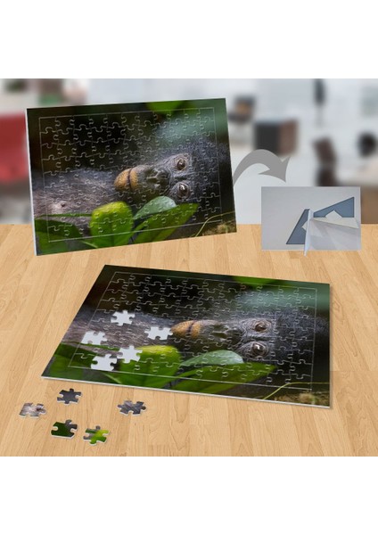 Yatan Maymun ,hayvan, Doğa 99 Parça Puzzle YAPBOZ-P118