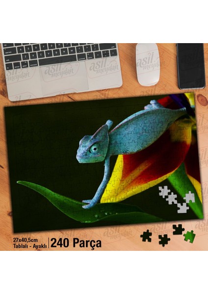 Asil Hobi - Bukalemun - Sevimli Hayvan - Doğa Yapboz - Ayak Destekli 240 Parça Puzzle