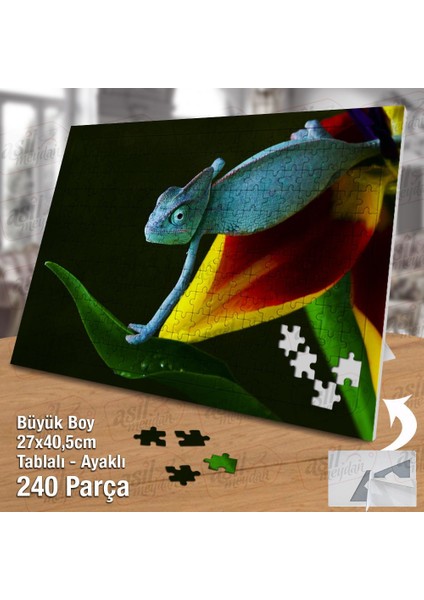 Asil Hobi - Bukalemun - Sevimli Hayvan - Doğa Yapboz - Ayak Destekli 240 Parça Puzzle fiyatları