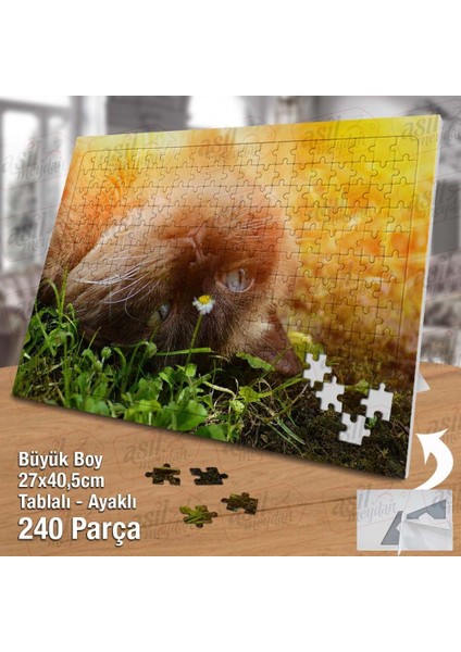 Asil Hobi -Scottish Kedi - Papatya - Doğa - Hayvan - Yapboz - Ayak Destekli 240 Parça Puzzle fiyatları
