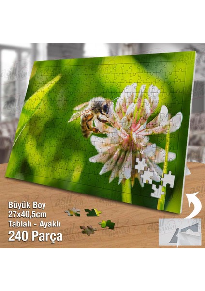 Asil Hobi - Arı - Beyaz Yonca Çiçek Çalışması -Tabiat - Yapboz - Ayak Destekli 240 Parça Puzzle
