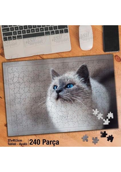 Asil Hobi Gri Tüylü Mavi Gözlü Sevimli Kedi Yapboz - Ayak Destekli Çerçeveli 240 Parça Puzzle