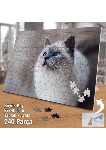 Asil Hobi Gri Tüylü Mavi Gözlü Sevimli Kedi Yapboz - Ayak Destekli Çerçeveli 240 Parça Puzzle fiyatları