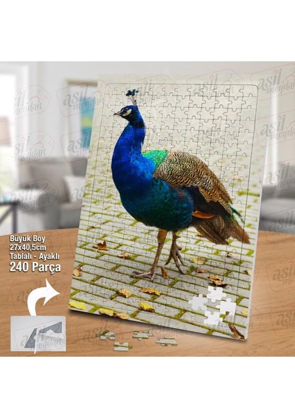 Asil Hobi Tavus Kuşu - Doğa - Hayvan Yapboz - Ayak Destekli Çerçeveli 240 Parça Puzzle fiyatları
