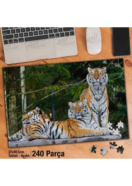 Asil Hobi Kaplanlar - Doğa - Vahşi Yaşam - Hayvan Yapboz -Ayak Destekli Çerçeveli 240 Parça Puzzle