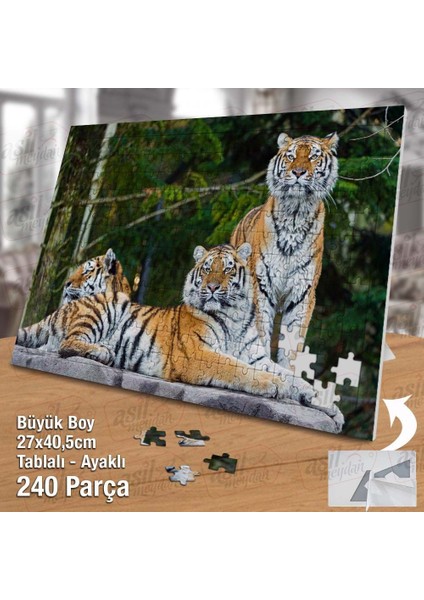 Asil Hobi Kaplanlar - Doğa - Vahşi Yaşam - Hayvan Yapboz -Ayak Destekli Çerçeveli 240 Parça Puzzle fiyatları