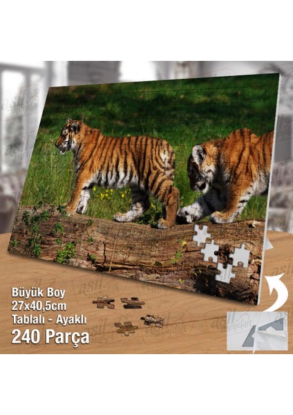 Asil Hobi Yavru Kaplan - Doğa - Hayvan - Amazon Yapboz-Ayak Destekli Çerçeveli 240 Parça Puzzle fiyatları