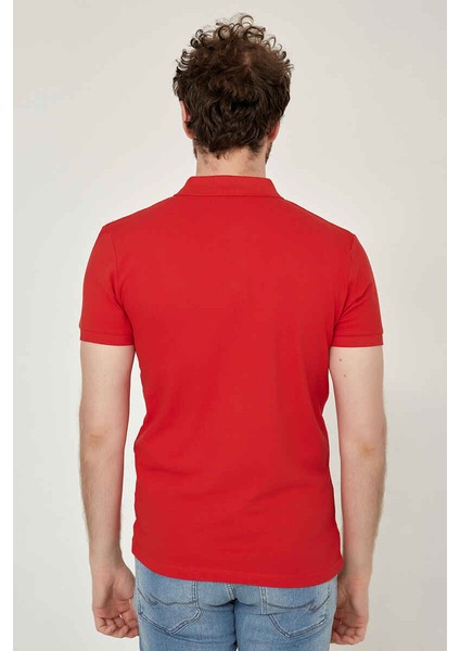 Caz 4613 Polo T-Shirt B.kırmızı fırsatları