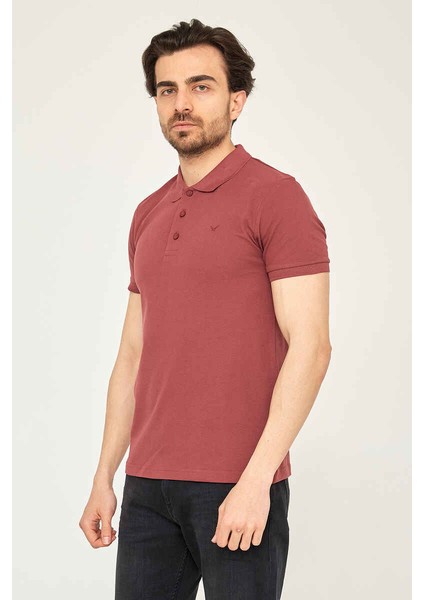 Caz 4613 Polo T-Shirt Vişne fiyatları
