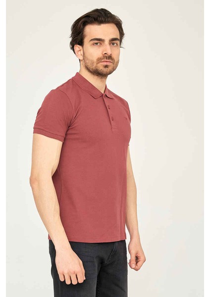 Caz 4613 Polo T-Shirt Vişne modelleri