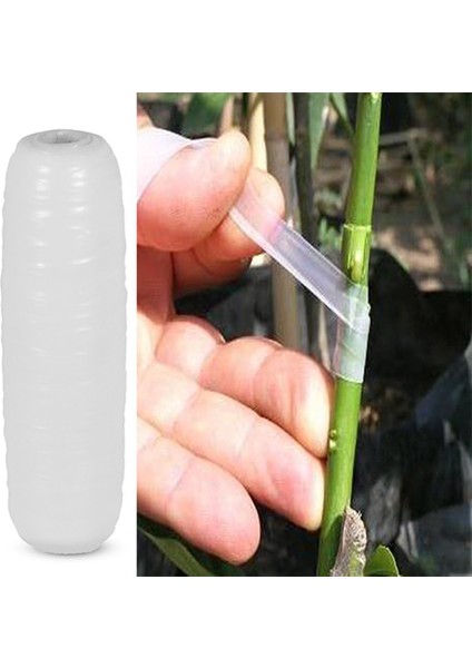 Ağaç Meyve Aşı Bandı Aşılama Bağı Fidan Bant 170 Gram