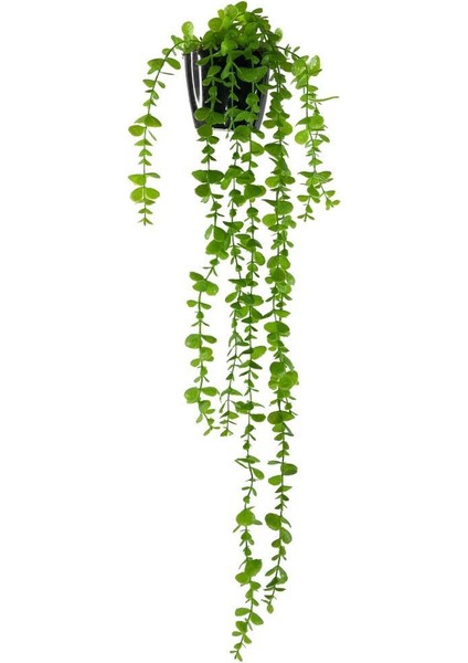 Yapay Çiçek Saksıda Sarkan Okaliptus 80CM