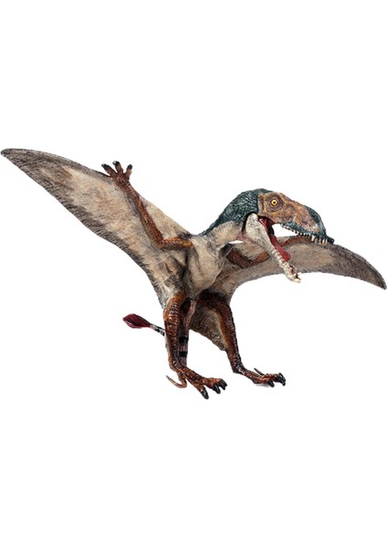 Gerçekçi Dinozor Oyuncaklar Dinozor Koleksiyonu Modeli Ev Dekor Süsler Için 15X7X8 cm (Yurt Dışından)