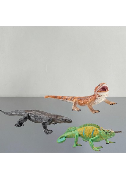 3x Simülasyon Katı Vahşi Hayvan Modeli Playset Boddlers Hediyeler Raf Dekor (Yurt Dışından) fırsatları