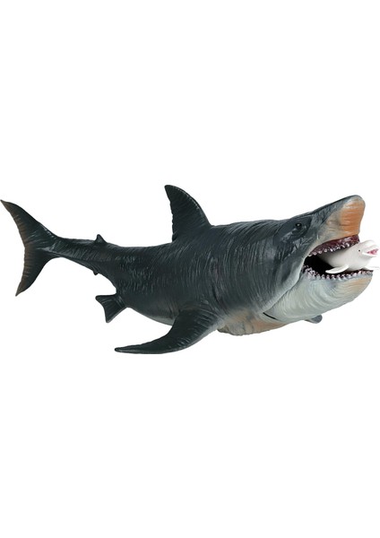 Köpekbalığı Aksiyon Figürleri Megalodon Modeli Bilişsel Oyuncak Erkek Kızlar Için Gerçekçi (Yurt Dışından)