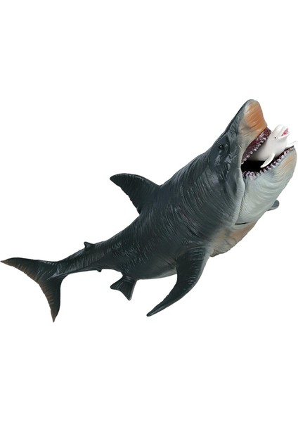 Köpekbalığı Aksiyon Figürleri Megalodon Modeli Bilişsel Oyuncak Erkek Kızlar Için Gerçekçi (Yurt Dışından)