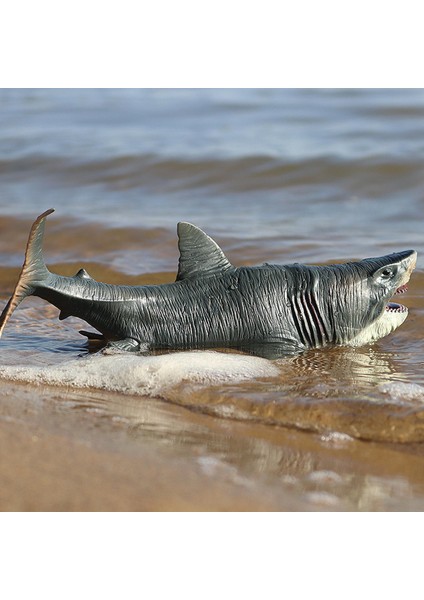 Köpekbalığı Aksiyon Figürleri Megalodon Modeli Bilişsel Oyuncak Erkek Kızlar Için Gerçekçi (Yurt Dışından)