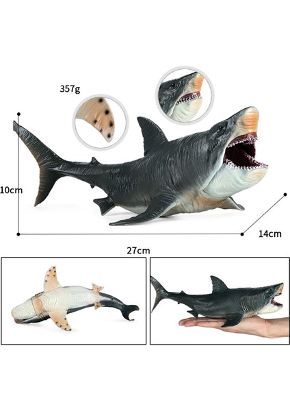 Köpekbalığı Aksiyon Figürleri Megalodon Modeli Bilişsel Oyuncak Erkek Kızlar Için Gerçekçi (Yurt Dışından)