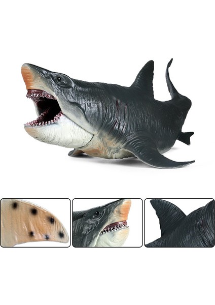 Köpekbalığı Aksiyon Figürleri Megalodon Modeli Bilişsel Oyuncak Erkek Kızlar Için Gerçekçi (Yurt Dışından)