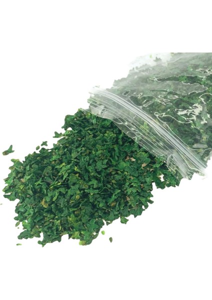 33ML Minyatür Yaprak Statik Model Demiryolu Kum Masa Diorama Süsler Için Yeşil A (Yurt Dışından)