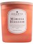 Charya Maison Mimosa Blossom 230 G Doğal ve Vegan Mum 2